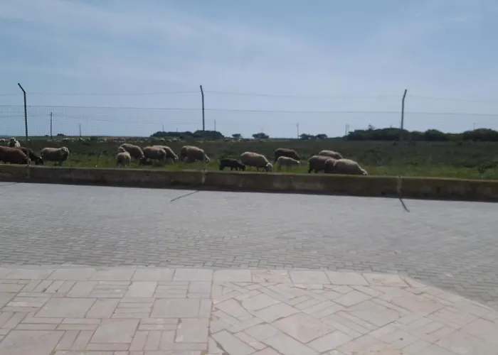 Abrigo Nortadas Lantställe Vila do Bispo