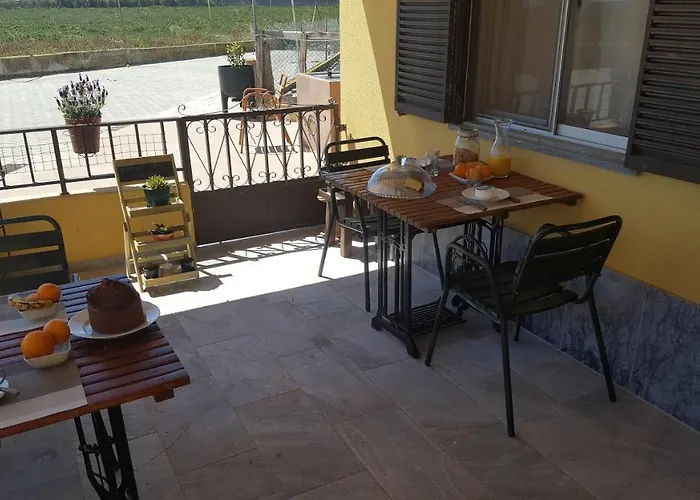 Abrigo Nortadas Lantställe *