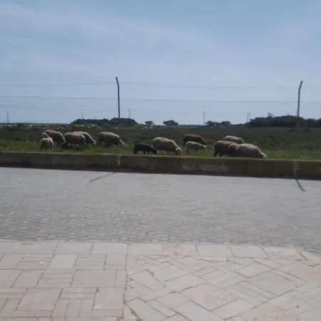 Abrigo Nortadas Lantställe Vila do Bispo